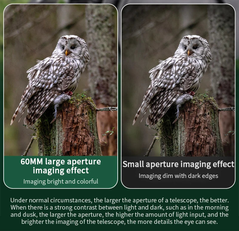 25-75x60 HD longue-vue puissant monoculaire Zoom télescope prisme étanche pour l'observation des oiseaux cible tir Camping